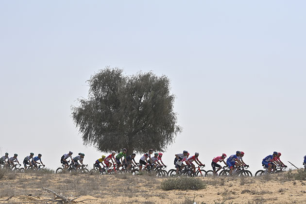 Peloton